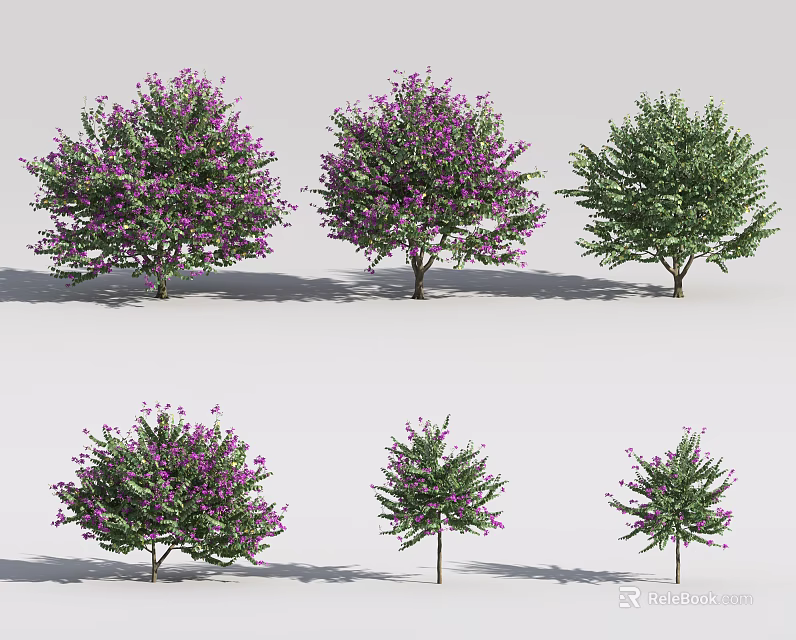 Different Shrub Varieties With Purple Flowers And Green Leaves For Garden Landscaping 3d model 