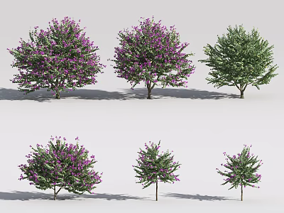 Different Shrub Varieties With Purple Flowers And Green Leaves For Garden Landscaping 3d model
