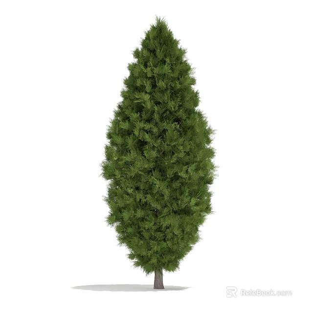 Lush Green Evergreen Arbor With Dense Foliage And Conical Crown 3d model 