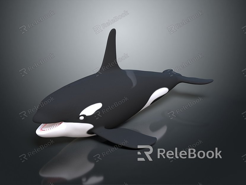 whale cartoon whale mammal marine mammal marine animal fish freshwater fish marine fish model