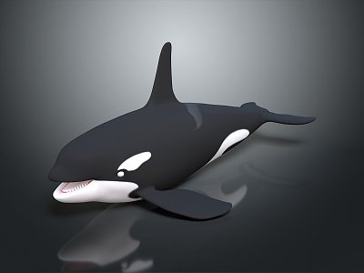 whale cartoon whale mammal marine mammal marine animal fish freshwater fish marine fish 3d model