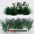 Vibrant Mixed Flowers With White Blooms Purple Petals And Lush Green Grass