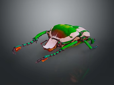Colorful Beetle With Green White Brown Shell And Colorful Legs Close Up On Gray Background 3d model