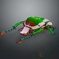 Colorful Beetle With Green White Brown Shell And Colorful Legs Close Up On Gray Background