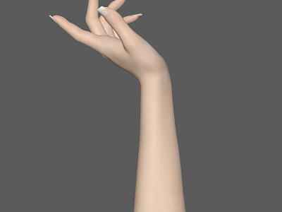 Realistic Human Hand and Arm with White Nails on Gray Background 3d model