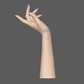 Realistic Human Hand and Arm with White Nails on Gray Background 3d model