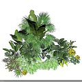 Lush Plant Combination With Diverse Green Leaves For Indoor Home Decor