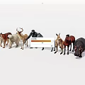 Diverse Wild Animal Collection Featuring Tiger Polar Bear Zebra and Hippopotamus
