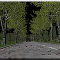 Scenic Municipal Road Lined with Trees Fallen Leaves and Distant Car Under Blue Sky