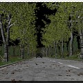 Modern road highway road landscape deciduous car 3d model