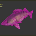 Green And Yellow Fish 3D Model On Dark Background With Reflection Effect