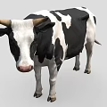 Black And White Spotted Cow Standing Isolated On Gray Background 3d model