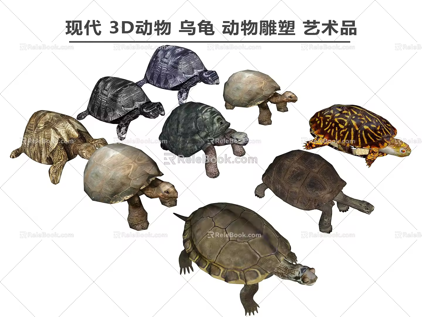 Modern Turtle Animals 3d model