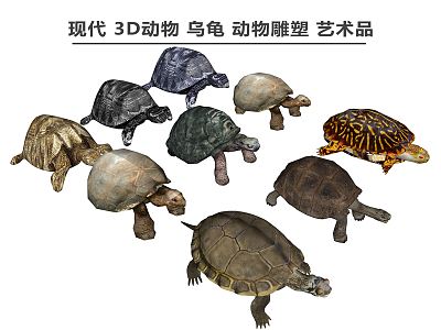 Modern Turtle Animals 3d model