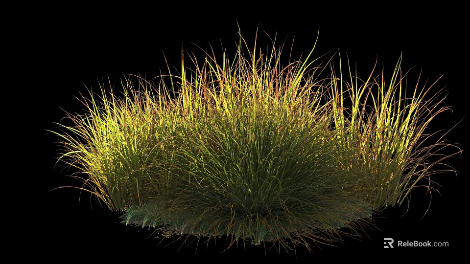 Vibrant Green and Yellow Shrub with Long Slender Leaves in Dense Clump 3d model 