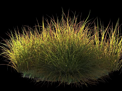 Vibrant Green and Yellow Shrub with Long Slender Leaves in Dense Clump 3d model