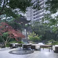 Rockery Stones In Traditional Chinese Garden With Stone Bridge Bamboo And Red Maple Trees