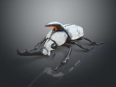 White and Black Beetle with Orange Back Section and Black Horns on Reflective Dark Background 3d model