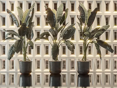 Large Leafy Potted Plants in Black Pots with White Grid Wall and Reflective Modern Interior 3d model