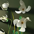 Floral Arrangement with White Flowers Green Stems White Spherical Pots on Wooden Tabletop Green Background