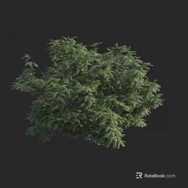 Lush Green Arbor Featuring Dense Foliage and Full Canopy Structure 3d model