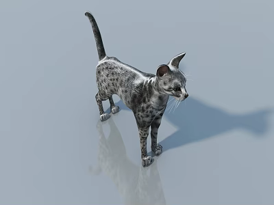 Gray and White Spotted Reptile Standing on Smooth Gray Surface with Reflection 3d model