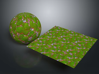 Green Plant Texture Design for Sphere and Square Decorative Patterns with Natural Elements 3d model