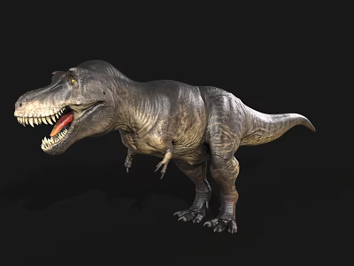 Realistic 3D Tyrannosaurus Rex Model With Open Mouth And Sharp Teeth 3d model