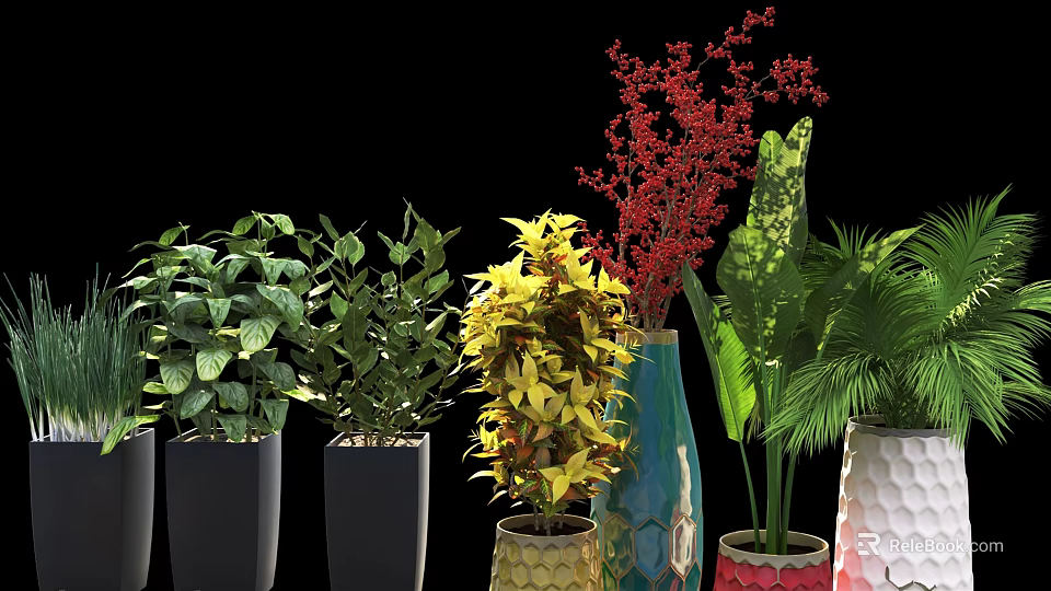 Potted Bonsai Plants With Colorful Foliage And Various Decorative Planters 3d model 
