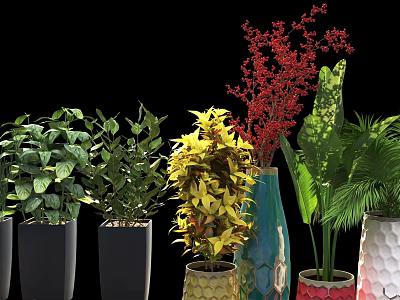 Potted Bonsai Plants With Colorful Foliage And Various Decorative Planters 3d model