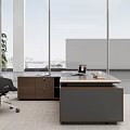 Modern Executive Office Desk With Wooden Top Laptop And Bookshelf Decorations