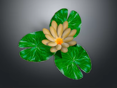 Beautiful Yellow Water Lily Plant with Three Green Lotus Leaves on Gray Background 3d model