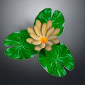 Beautiful Yellow Water Lily Plant with Three Green Lotus Leaves on Gray Background