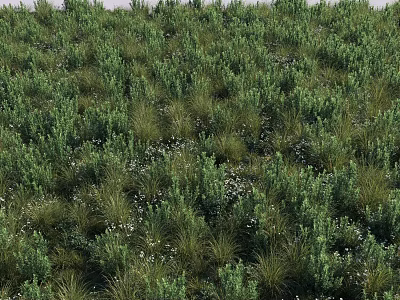 Lush Green Bushes Dotted With White Small Flowers Among Tall Grass 3d model