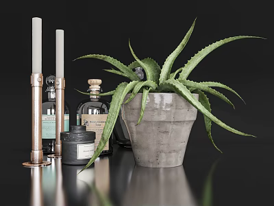 Bathroom Accessories With Candles Bottles And Aloe Vera In Concrete Pot 3d model