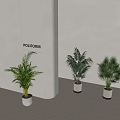 green plant potted plant combined ceramic pot plant green plant 3d model