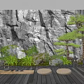 Zen Garden Design With Rock Wall Bonsai Pine Green Plants And Wooden Deck