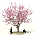 Tall Tree With Pink Blossoms And Two People Standing And Sitting On Circular Grass Base
