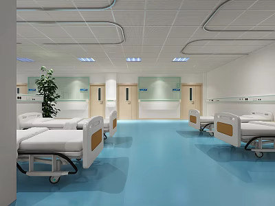 Hospital Ward Interior With White Beds Blue Floor Green Plant And Ceiling Design 3d model