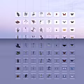 Butterfly And Insect Specimens Arranged In Multi Layer Transparent Display Case
