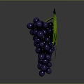 Fresh Dark Purple Grapes with Vibrant Green Leaves Healthy Juicy Fruit Bunch