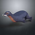 Animated 3D Otter Character Design With Biological Features And Realistic Details