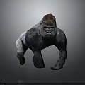 Gorilla With Red Crown And Dark Gray Body In Standing Posture On Simple Gray Background