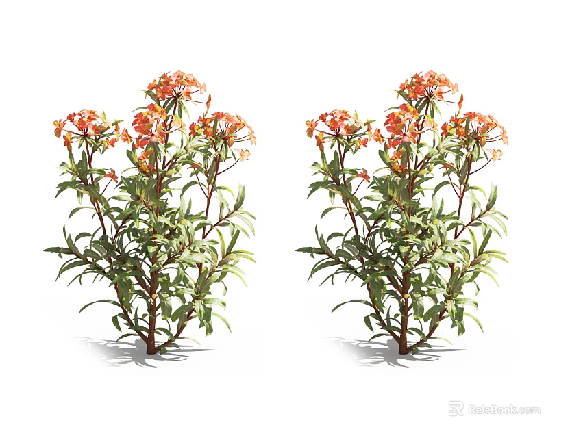 Vibrant Orange Flower Bushes With Lush Green Foliage For Garden Decoration 3d model 