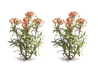 Vibrant Orange Flower Bushes With Lush Green Foliage For Garden Decoration 3d model
