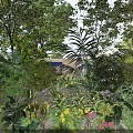 Lush Tropical Garden Plants With Vibrant Blooms And Green Foliage In Outdoor Landscape