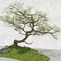 New Chinese-style Pine Tree Landscape Tree Modeling Lohan Pine Tree 3d model