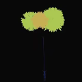 Ornamental Arbor Collection Featuring Crimson Green And Golden Foliage For Garden Landscaping