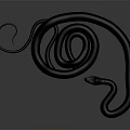 Realistic Black Snake Coiled With Raised Head On Gray Gradient Background