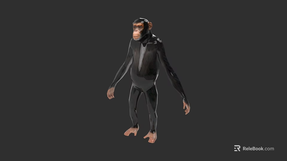 Standing Chimpanzee 3D Model With Realistic Features And Gray Background 3d model 